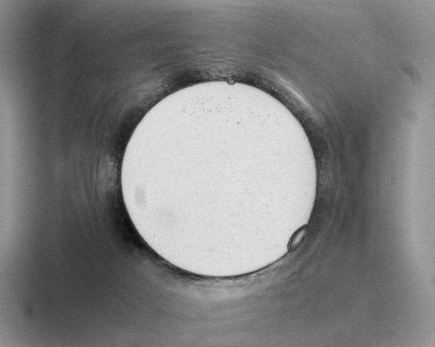 X0000116660025201001041118