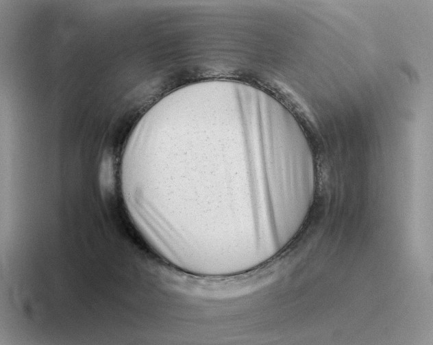 X0000116660026201001041118
