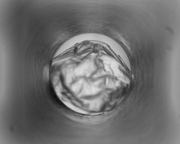 X0000116660027201001041118