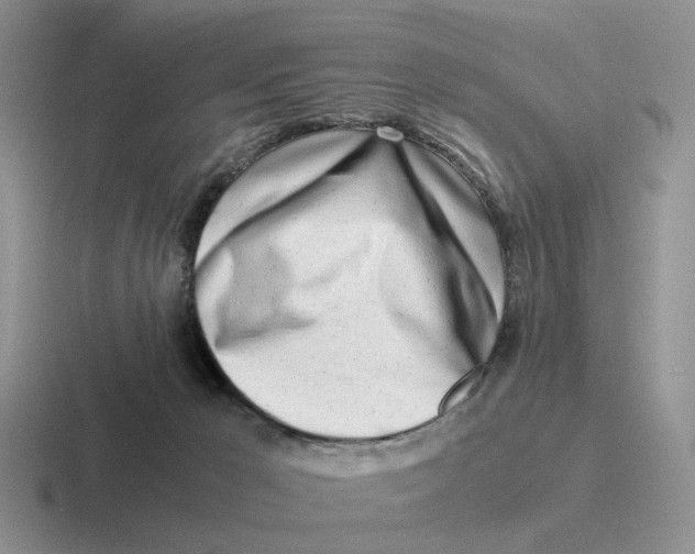 X0000116660029201001041118