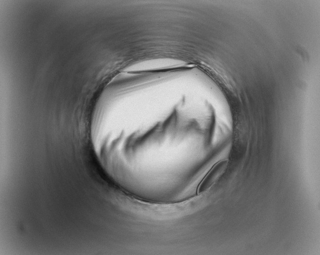 X0000116660031201001041118