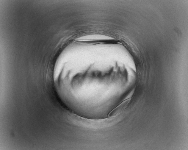 X0000116660035201001041118