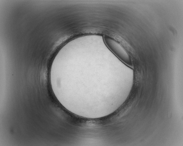 X0000116660064201001041118
