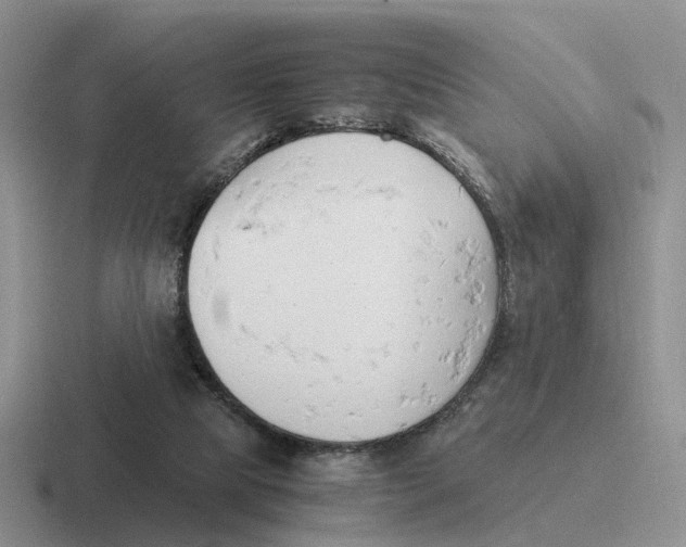 X0000116660065201001041118