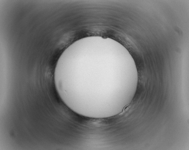 X0000116660086201001041118