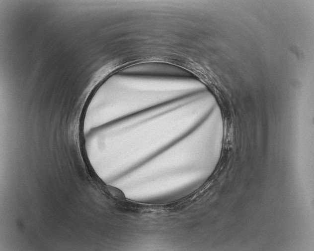 X0000116660099201001041118