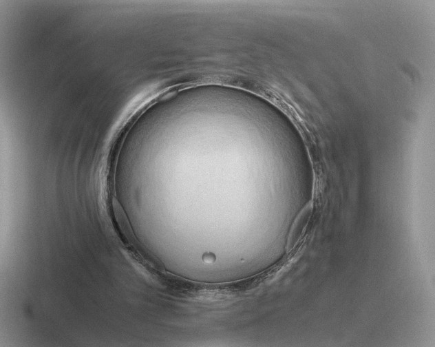 X0000116660101201001041118