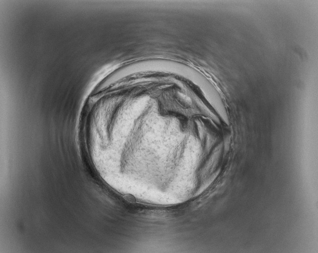 X0000116660104201001041117