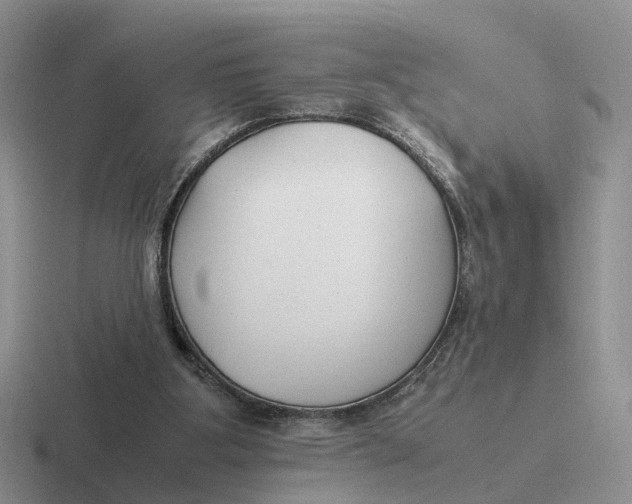 X0000116660107201001041117