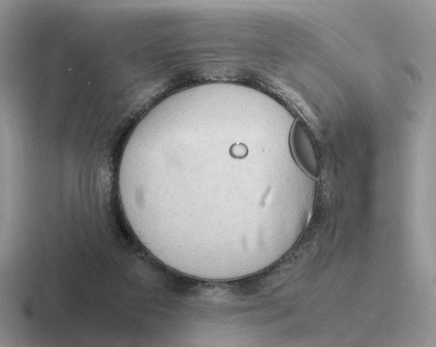 X0000116660113201001041117