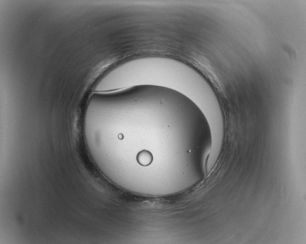 X0000116660116201001041117