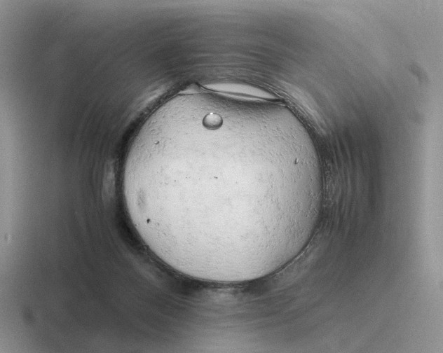 X0000116660120201001041117