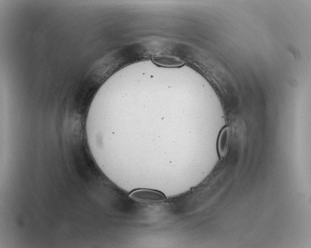 X0000116660121201001041117