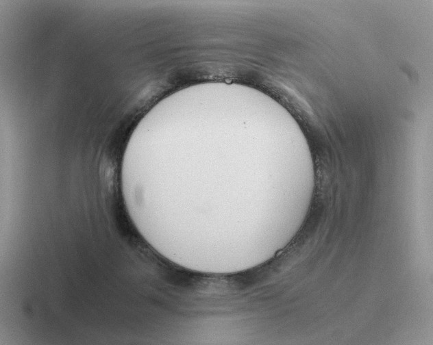 X0000116660123201001041117