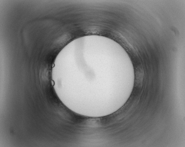 X0000116660126201001041117