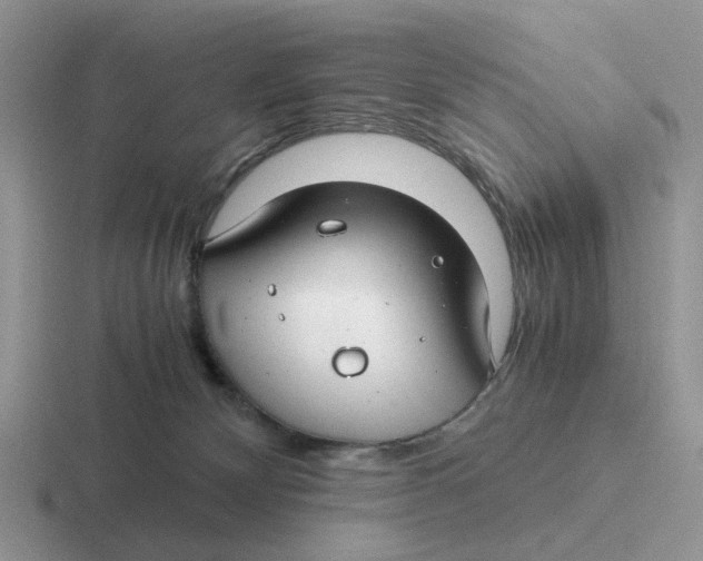 X0000116660132201001041117