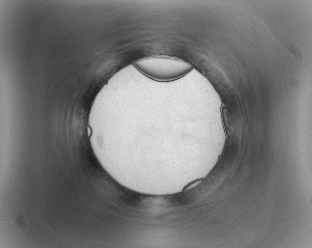 X0000116660133201001041117