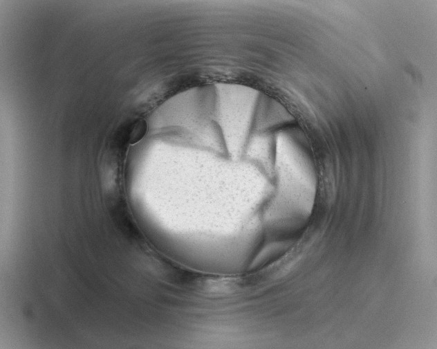 X0000116660134201001041117