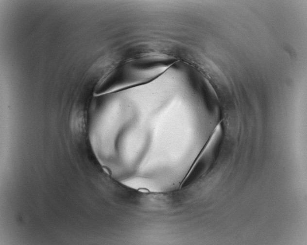 X0000116660137201001041117
