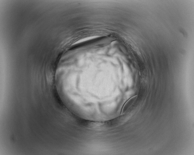 X0000116660139201001041117