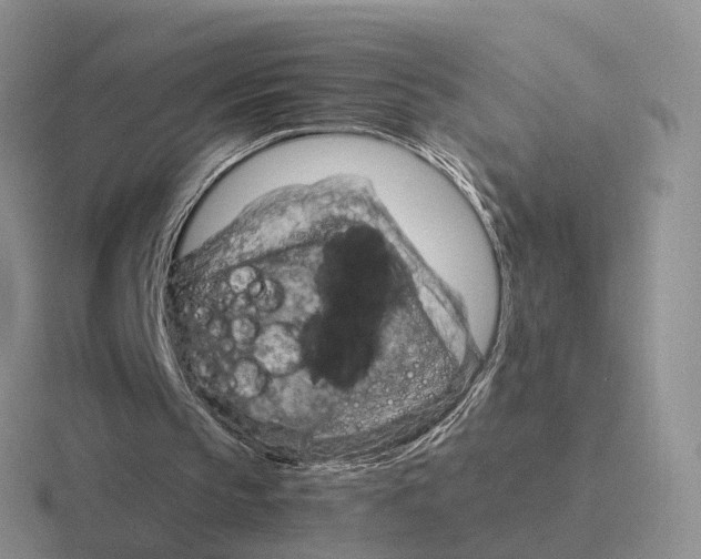 X0000116660145201001041116