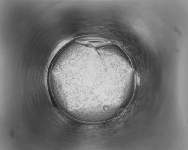 X0000116660147201001041116