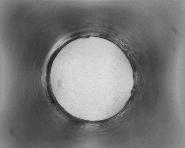 X0000116660150201001041116