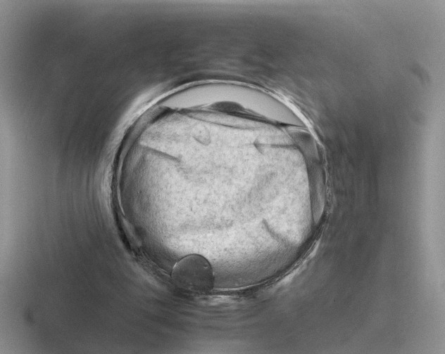 X0000116660151201001041116