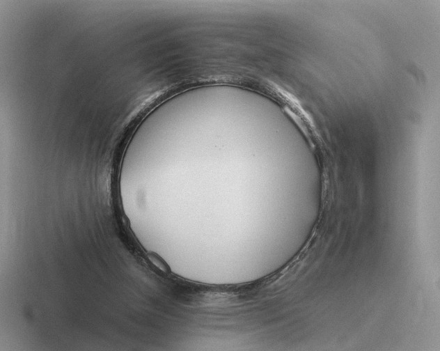 X0000116660154201001041117