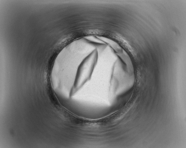 X0000116660161201001041117