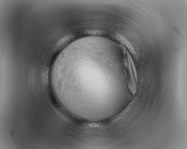 X0000116660163201001041117