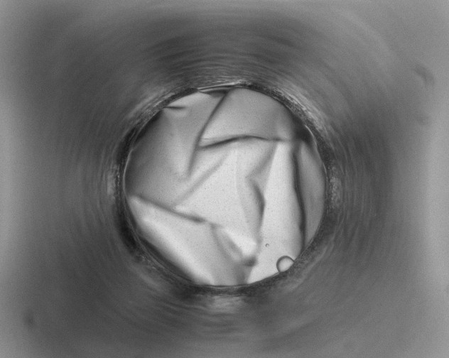 X0000116660165201001041117