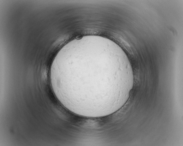 X0000116660166201001041117