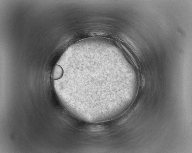 X0000116660169201001041117