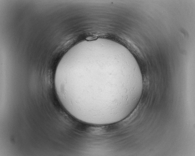 X0000116660170201001041117