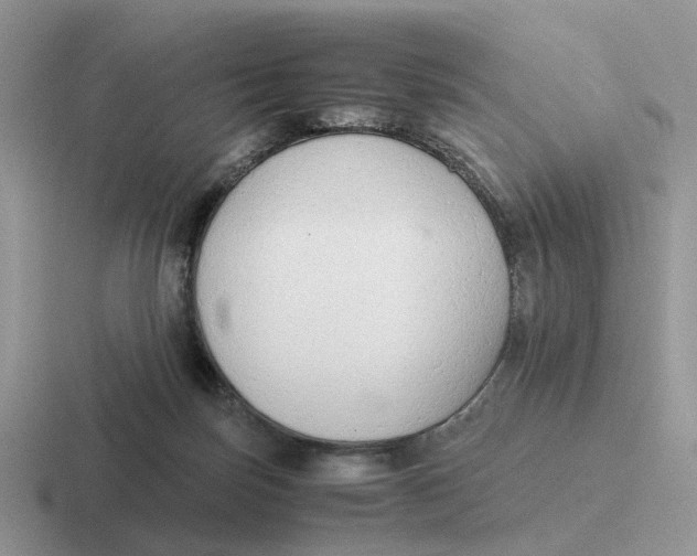 X0000116660171201001041117