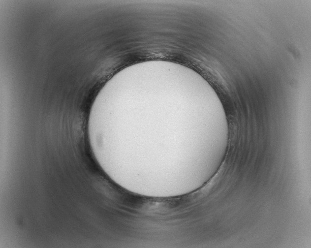 X0000116660174201001041117