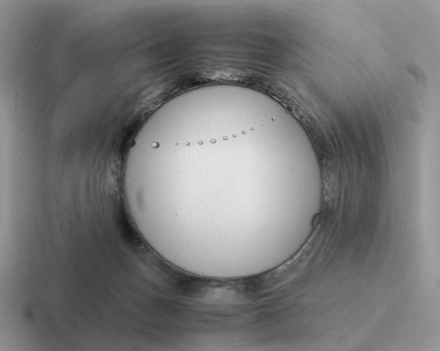 X0000116660175201001041117