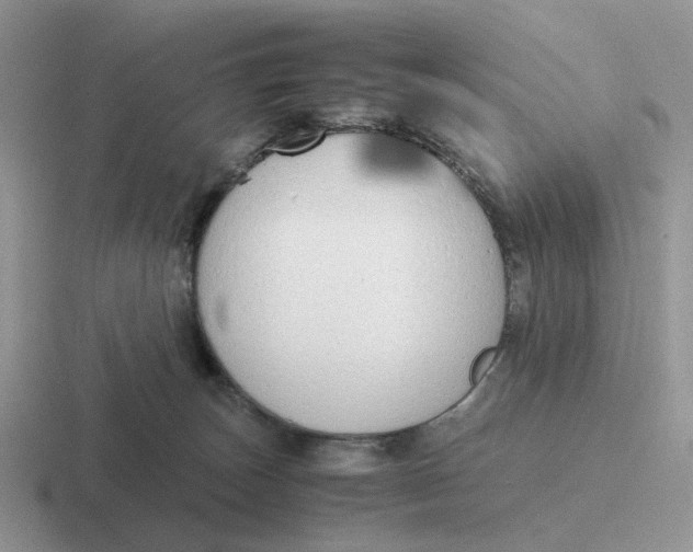 X0000116660179201001041117