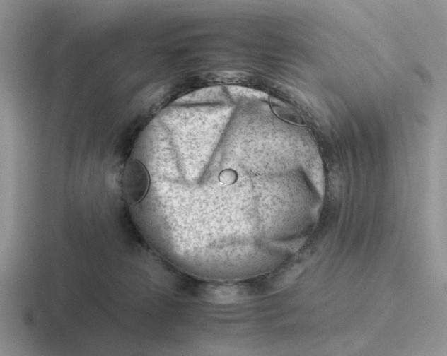 X0000116660181201001041117