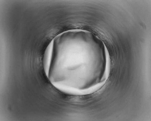 X0000116660182201001041117