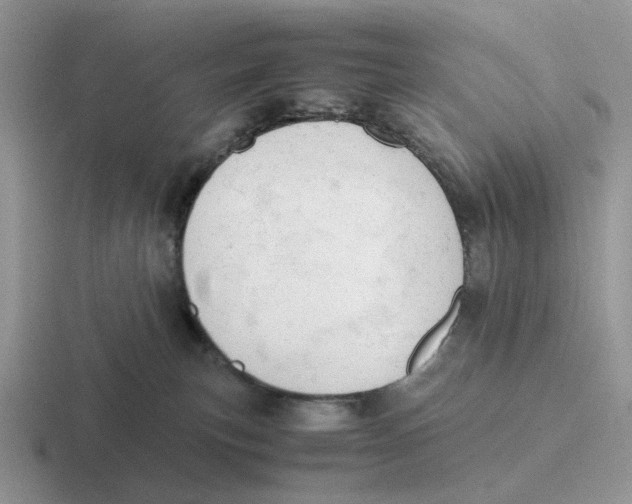 X0000116660183201001041117