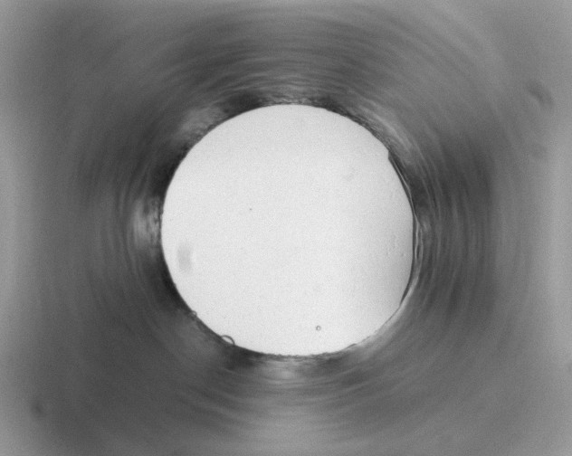 X0000116660190201001041117