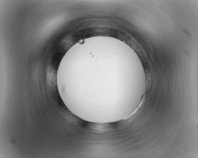 X0000116660191201001041117