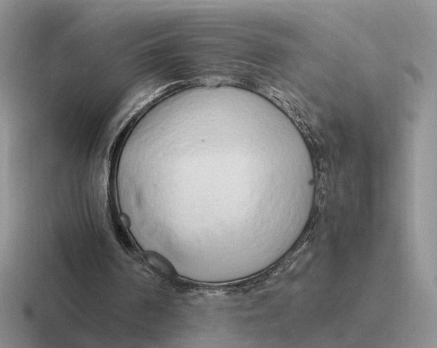 X0000116660194201001041116