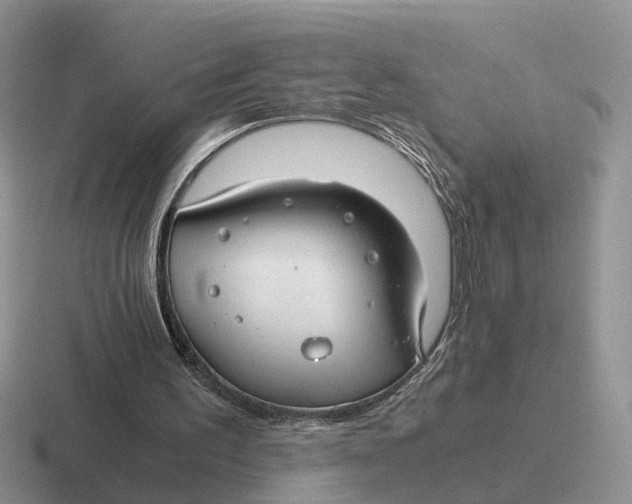 X0000116660195201001041116