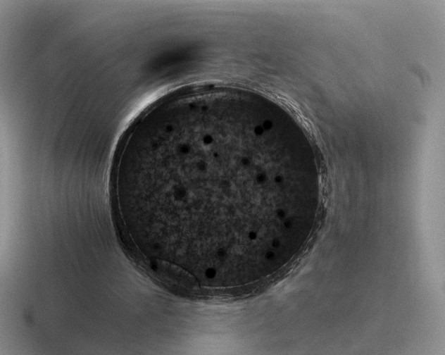 X0000116660196201001041116