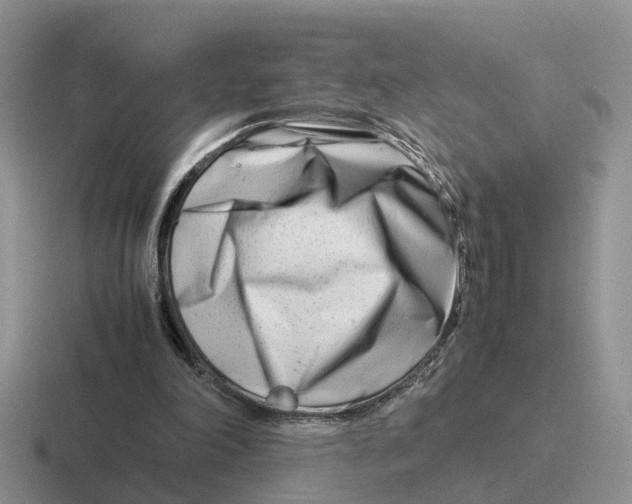 X0000116660198201001041116