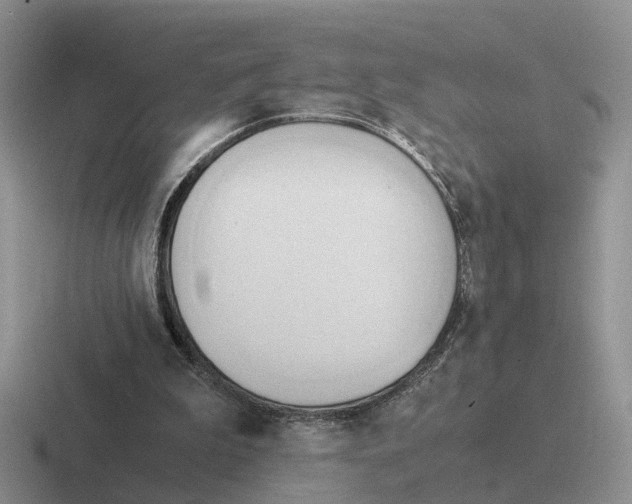 X0000116660199201001041116