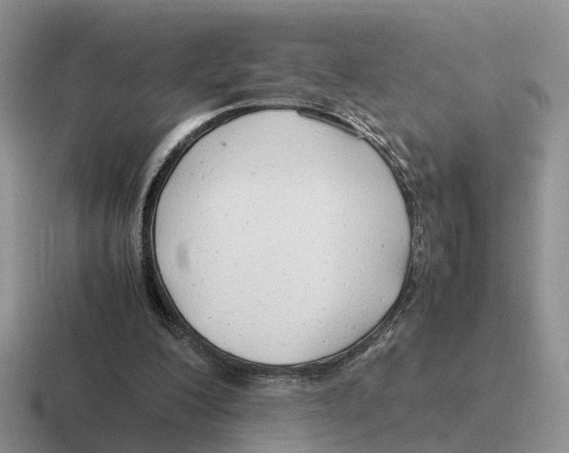 X0000116660200201001041116